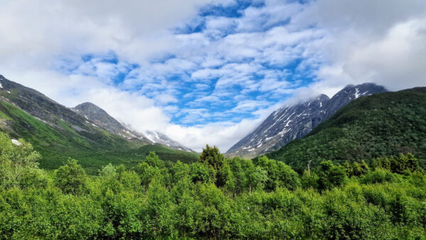 Et iusto odio dignissimos ducimus