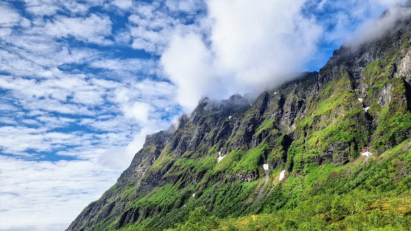 Et harum quidem rerum