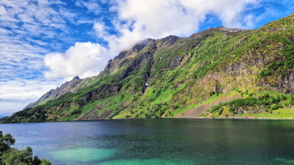 Animi, id est laborum et