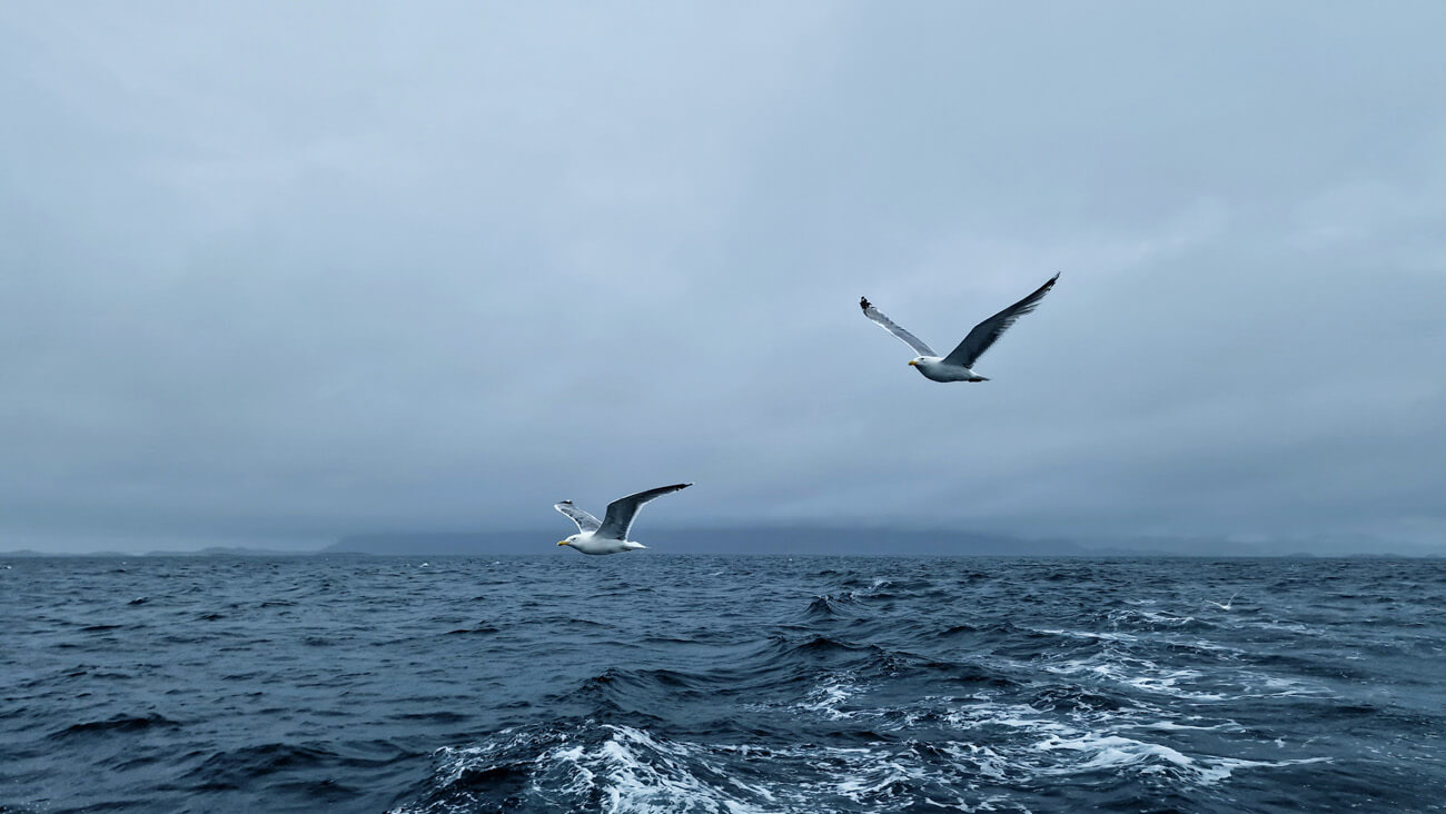 Inventore veritatis et quasi architecto beatae vitae dicta