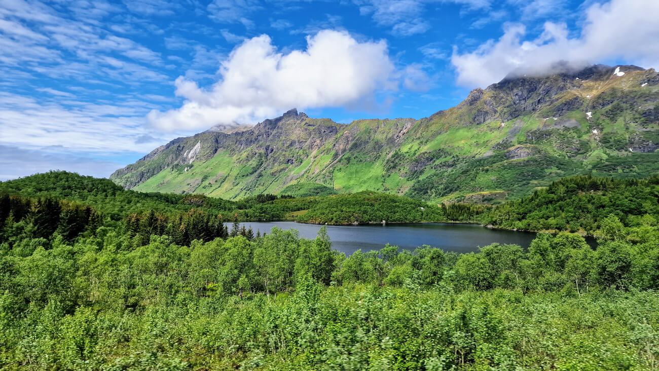 Cupiditate non provident, similique